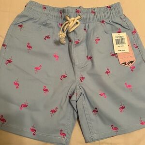Women's Blue Flamingo Print Twill Shorts by the Drill Clothing Company / Size: S